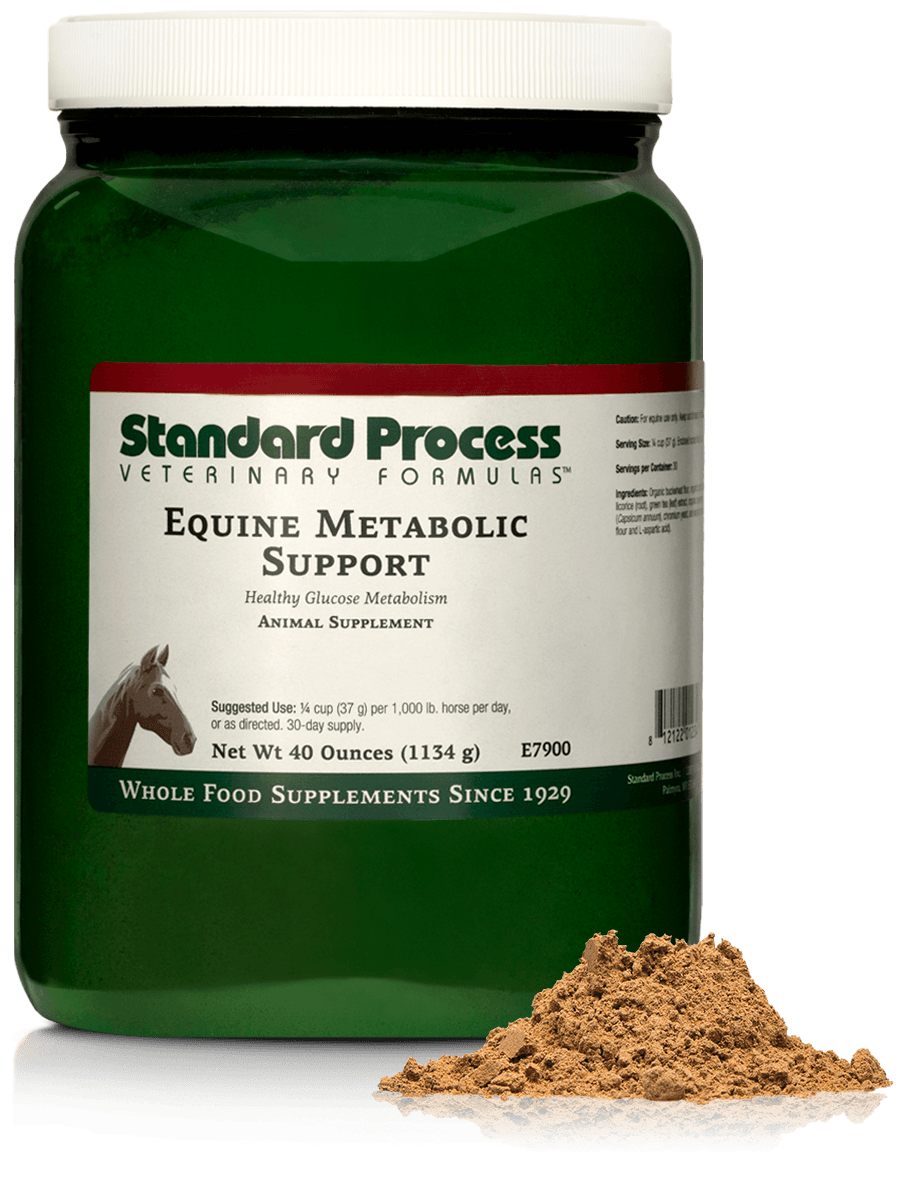 Equine Metabolic Support