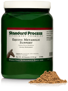 Equine Metabolic Support