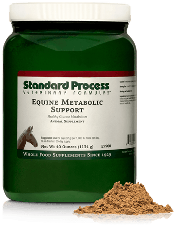  - Equine Metabolic Support