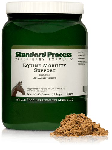 Equine Mobility Support