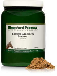 Equine Mobility Support