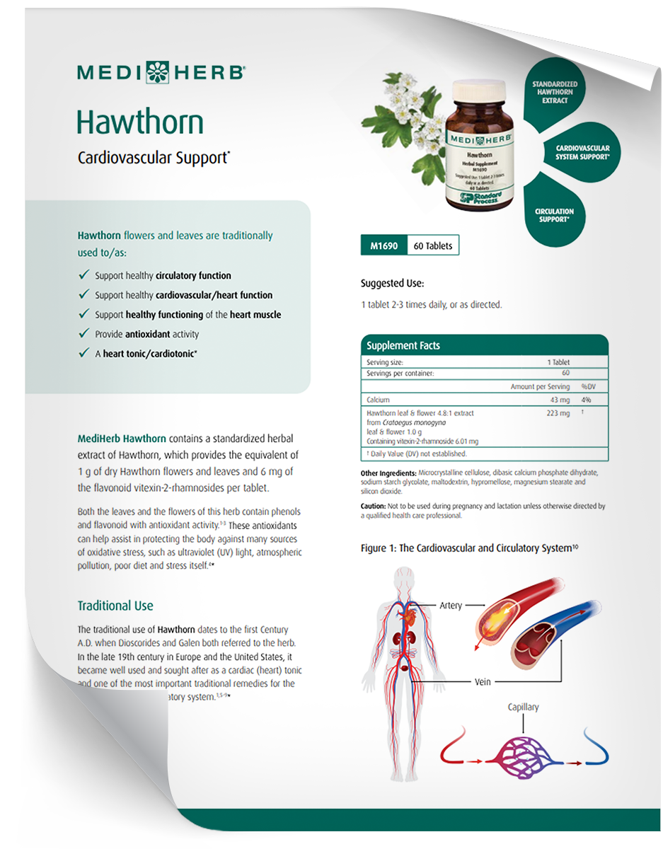 Hawthorn - Fact Sheet