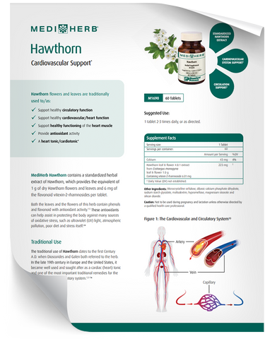 - Hawthorn - Fact Sheet