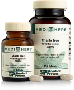 Chaste Tree