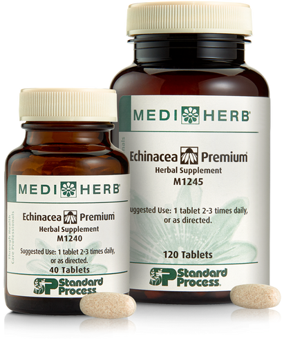 Echinacea Premium