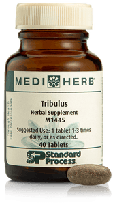 Tribulus