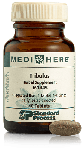 Tribulus