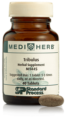  - Tribulus, 40 Tablets