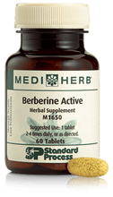 Load image into Gallery viewer, Berberine Active, 60 Tablets