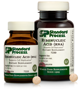 Ribonucleic Acid (RNA)