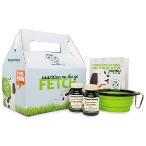 Pup Club Starter Kit With Small Whole Body Support and Immune System Support - Wholefood Guru