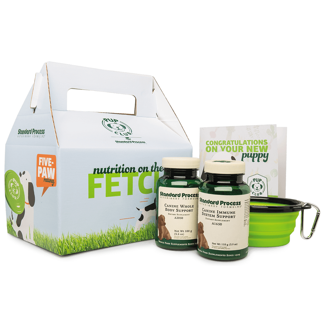 Pup Club Starter Kit With Large Whole Body Support and Immune System Support - Wholefood Guru